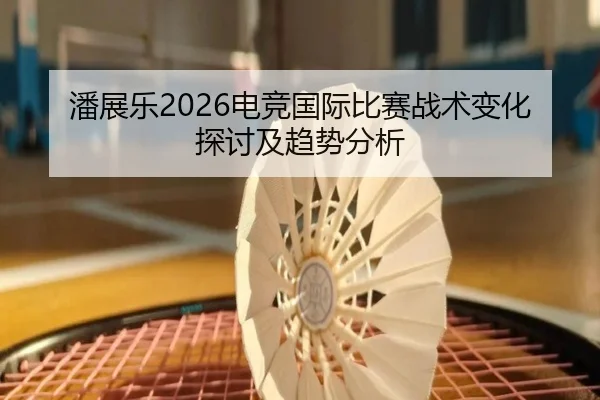 潘展乐2026电竞国际比赛战术变化探讨及趋势分析